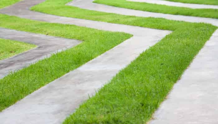 Reinforced Grass Driveway