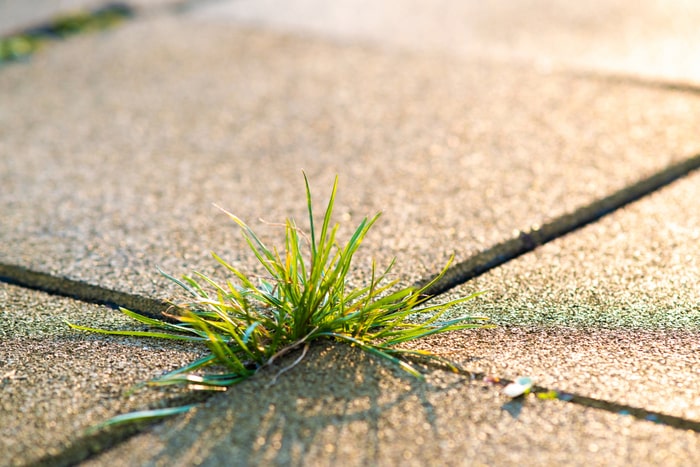 driveway weed killer also save the file name driveway weed killer